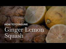 Load and play video in Gallery viewer, Mint Ginger Lemon Squash

